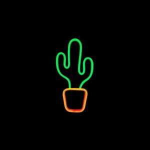 cactus bar logo